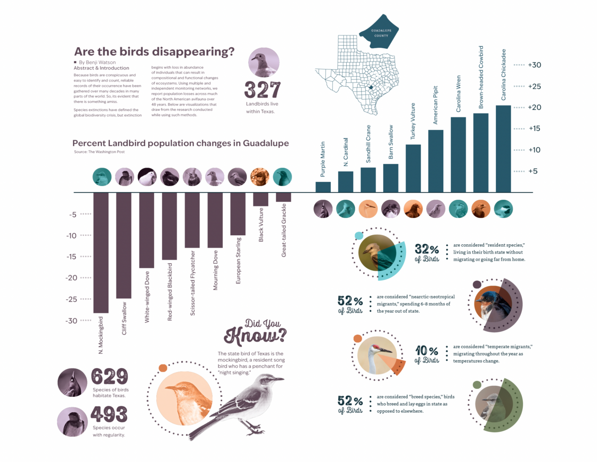 Editorial Infographics: Bridging the Gap Between Complexity and Clarity in Design Education