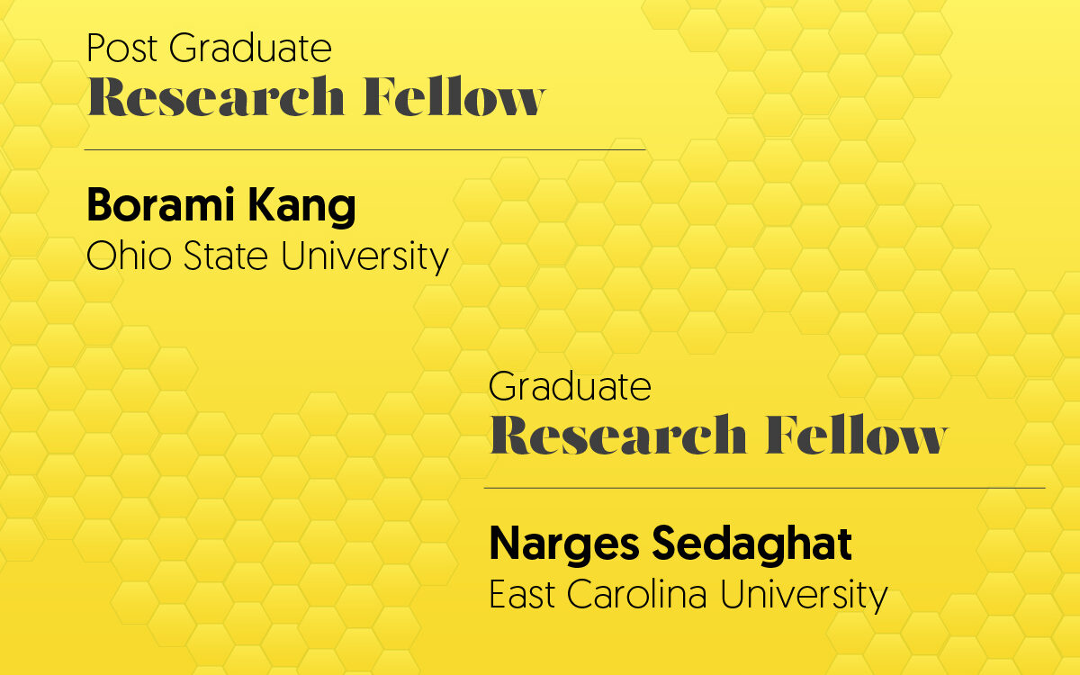 Design Research Fellows 2026-2027